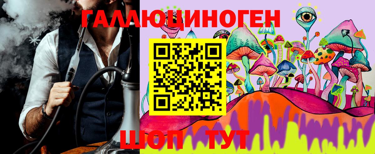 хочу наркоту  Псилоцибиновые грибы мицелий  Вход с VPN  Фрязино 