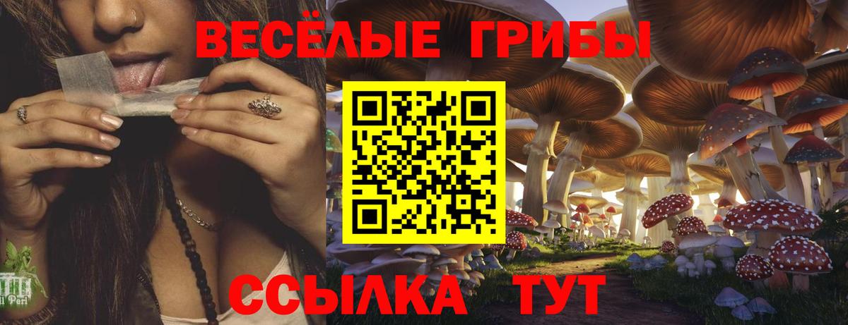 Псилоцибиновые грибы прущие грибы Фрязино